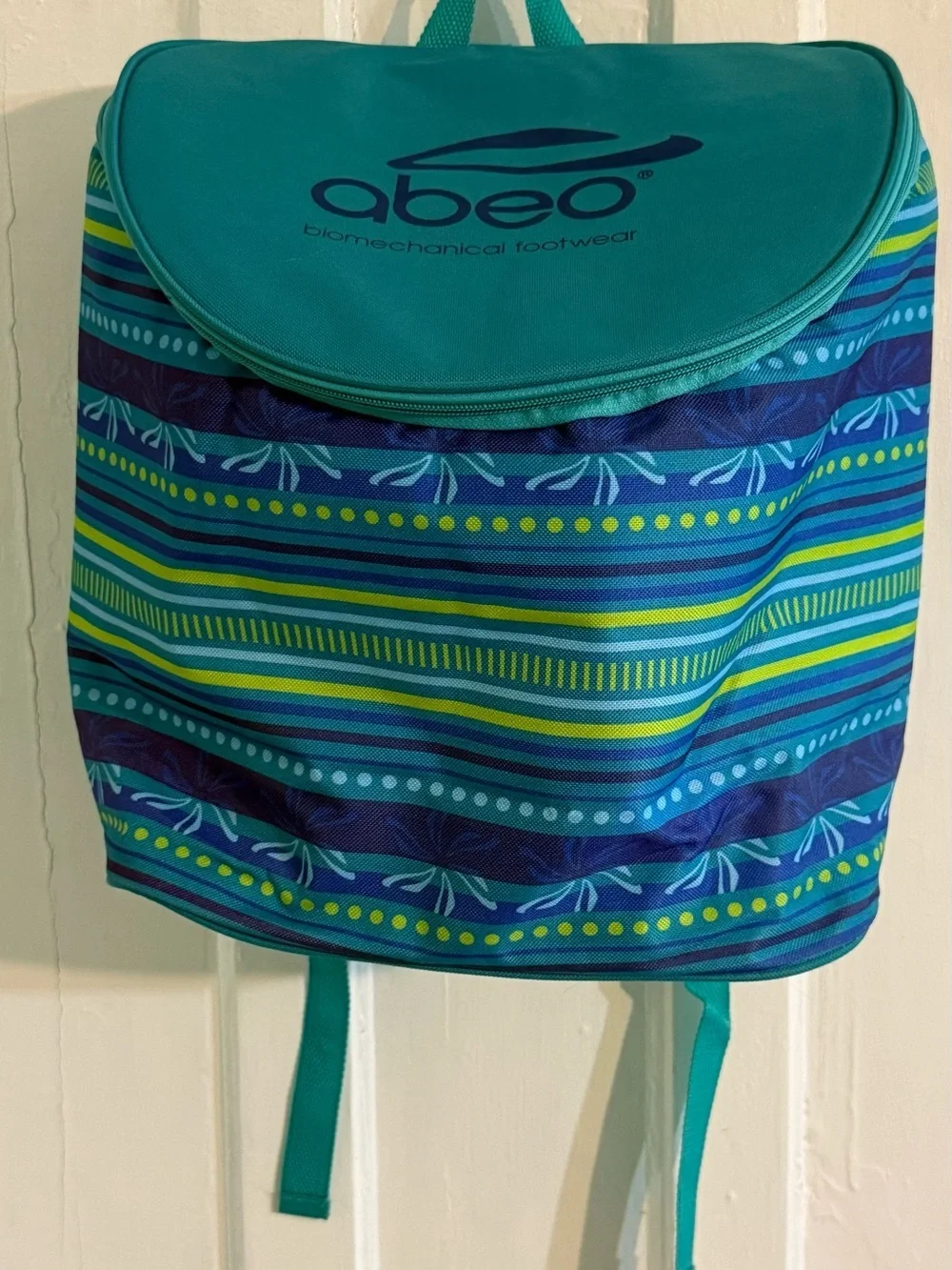 Cooler Backpack with Blue & Green Stripes with teal accents
